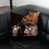 Аниме гонки Initial D Наволочка Чехол для подушки Антипылевой Невидимая молния шелковистый плюшевый чехол