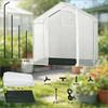 Patio Greenhouse, Greenhouse with Roll-Up Arch Zipper Door, Plant Winter Tent, Outdoor Greenhouse
