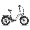 Fafrees FF20 Polar Folding All Terrain Electric Bicycle 500W 48V20.8Ah MTB E-Mountain Bike Outdoor 20 Inch Fat Tires Electic Bike for Adult
