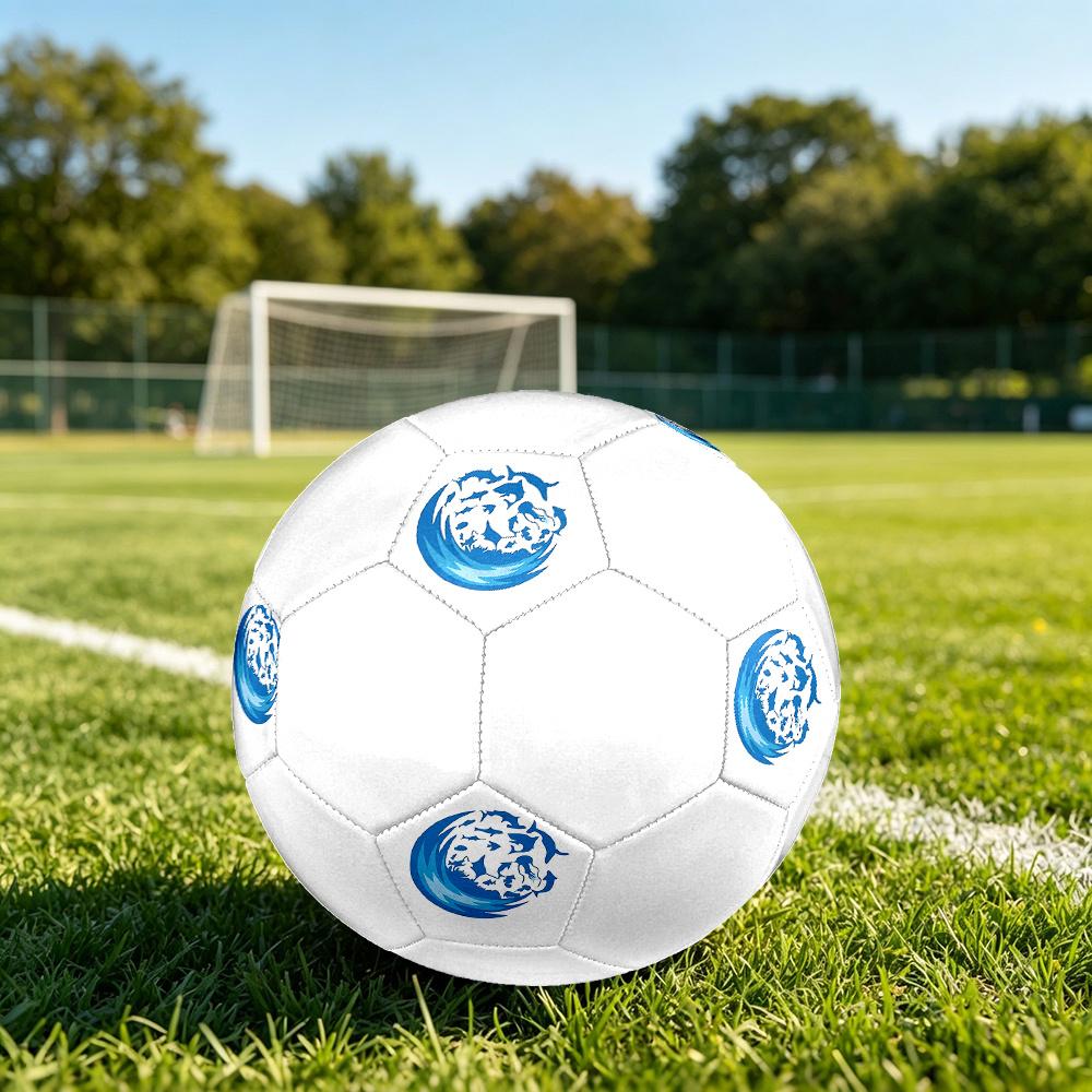 1PC Ocean Life Globe Soccer Ball Size 5 Football Machine Sewn Indoor/Outdoor Universal Football W108