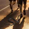 Realistic Snake Prank Simulation Snake Rubber Snake Toy Fashion Scary Tricky Toy  Outdoor