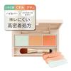 Palette Concealer Produced by Tsubasa Masuwaka