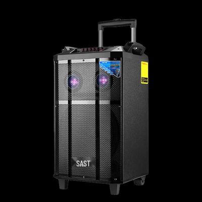 SAST 12-дюймовый портативный уличный Bluetooth-караоке-динамик, штепсель CN (адаптер в комплекте)