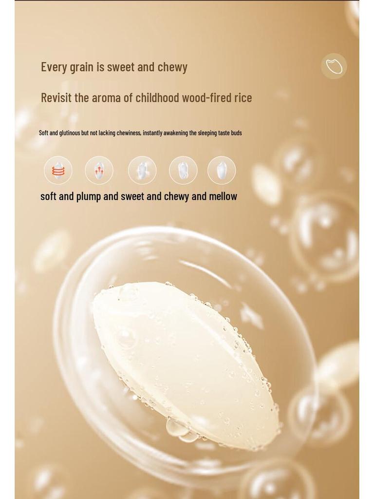 Рисоварка Bear 3 л: Многофункциональный, Антипригарный, Умное бронирование, Идеально подходит для 1-3 человек.