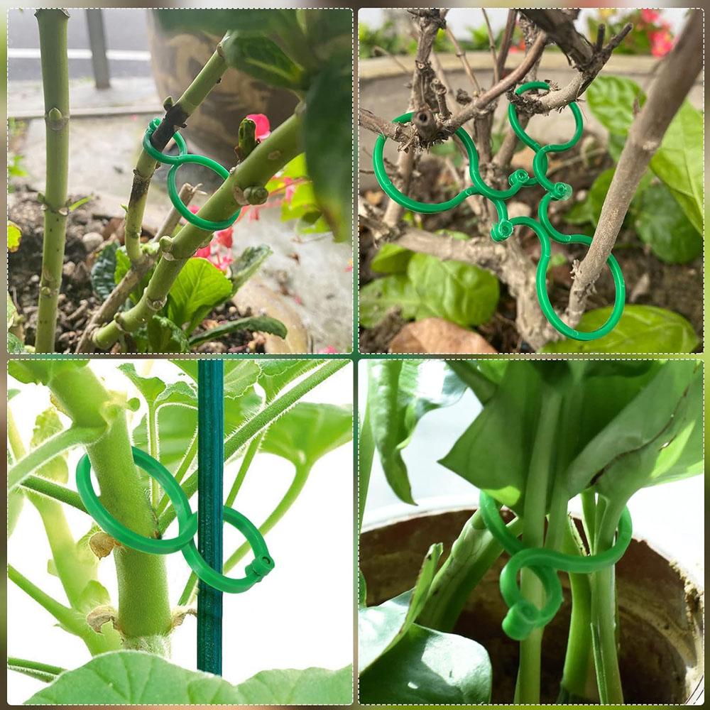 50 шт. регулируемые пластиковые стяжки для кабелей для растений многоразовые садовые стяжки для садовых деревьев поддержка для восхождения виноградная лоза томатный стебель зажим