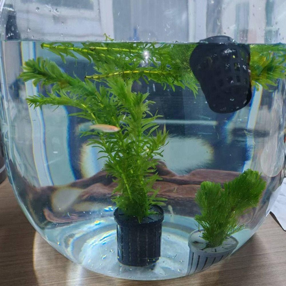Glass Pot Fish Tank Hydroponic Planting Basket for Tanks Aquascape Decorations