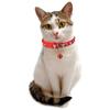 Pet Supplies With Bell Neck Strap Quick Release Kitten Safety Breakaway Cat Collar