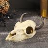 Creative 3D Skull Reptile Cave Hollow Out Reptile Climbing Shelter  Aquariums Enthusiasts