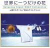 CD МУЗЫКАЛЬНАЯ ШКАТУЛКА АЛЬФА-ВОЛН - Sekainihitotsudakenohana-SMAP colle OPJ523 Япония Японские Саундтреки Б/У