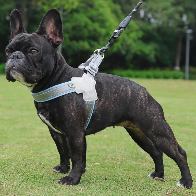 Dog Harness Reflective Breathable Pet Vest Harnesses For Small Dogs No Pull Outdoor Hiking Puppy Cats Chest Strap Chihuahua Yorkshire Supplies