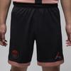 Jordan Стадион «Пари Сен-Жермен» FW24 Третьи футбольные брюки Dri-FIT облегающего кроя Мужские низ Черный FQ2060-010