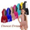 Lyrical Dance Dress for Girls Latin Jazz Gymnastics Leotard 5-16 Years Ballet Dance Dress Performance Costume
