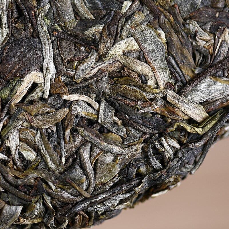 Tea LaoTongZhi 2020 Haiwan 7548 Raw Puer Batch 201 Fragrant Shen Puer Tea 357g