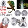 New 25/50/75W Reptile Heating Lamp Reptile Lamp Emitter Turtle Lizard Heater Bulb Snake Bird Pets Basking Lamp Feeding Lighting