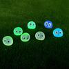 10Pcs Resin Dust Elf Luminous Colorful Creative Micro-Landscape Ornaments Multicolor Dust Decors Home Supply