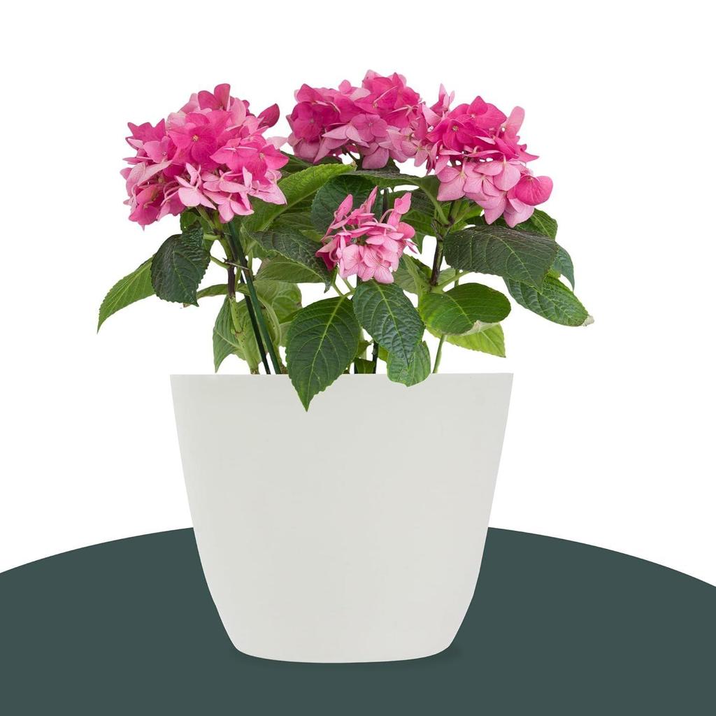 Набор из 12 цветочных горшков | Цветочный горшок для гостиной-офиса | Кашпо для дома-офиса-газонов и садового декора