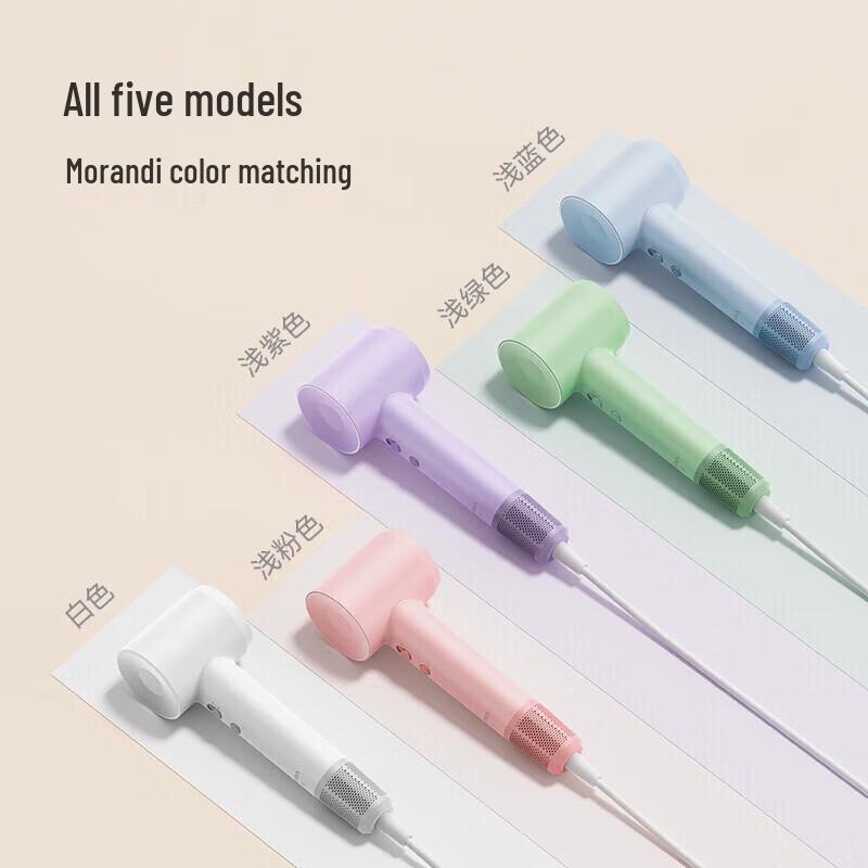 Laifen SE High-Speed Ionic Hair Dryer CN plug (adapter included)