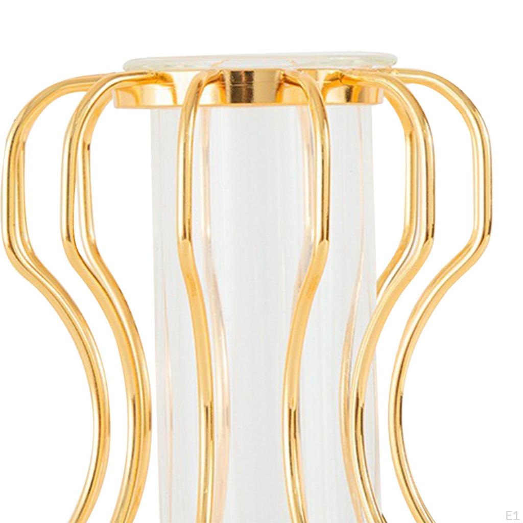 Настольная стеклянная ваза для цветов, металлический каркас, настольный орнамент, золотой цвет, подставка для размножения растений для сада