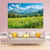 Spring scenery, green grassland, pine trees, forest background, photography, camping, adventure, party background, banner