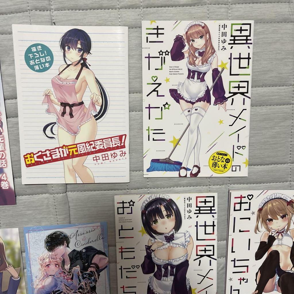 [USED] Assassin & Cinderella Domestic Girlfriend How To Discipline a Teenage Girl My Lady's Servant