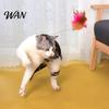 Self-play Cat Toy Collar Feather Interactive Wand Hands Free for Indoor Cats Teaser with Bell Adjustable Kitty Solo Play
