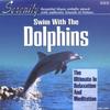 CD РАЗЛИЧНЫЕ - Serenity-Ultimate In Relaxation SRM20904 Serenity 1997 Япония Танцевальная и Электронная Музыка Б/У