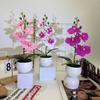 Realistic Artificial Orchid Arrangement With Small Round Pot For Indoor And Outdoor Decoration