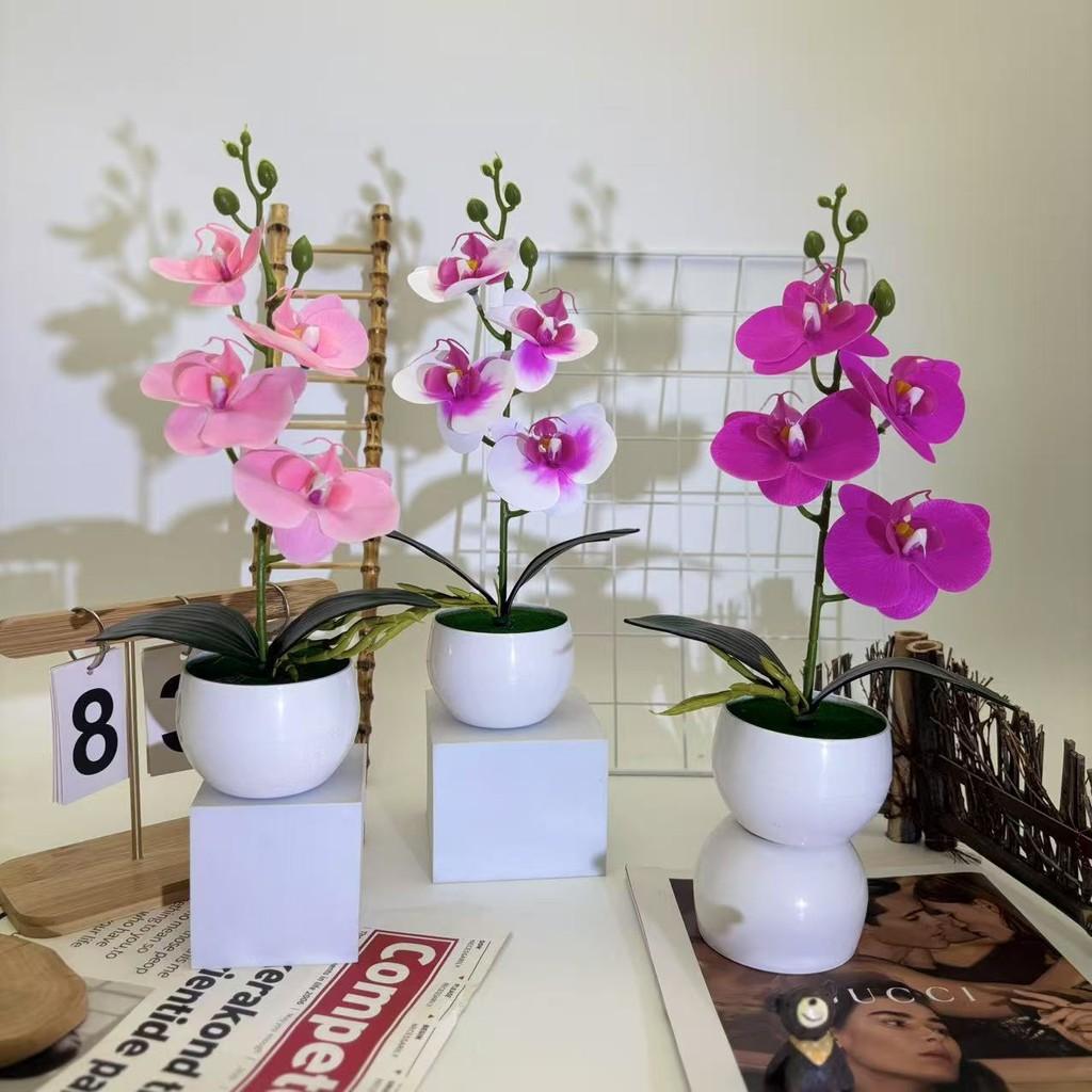 Realistic Artificial Orchid Arrangement With Small Round Pot For Indoor And Outdoor Decoration