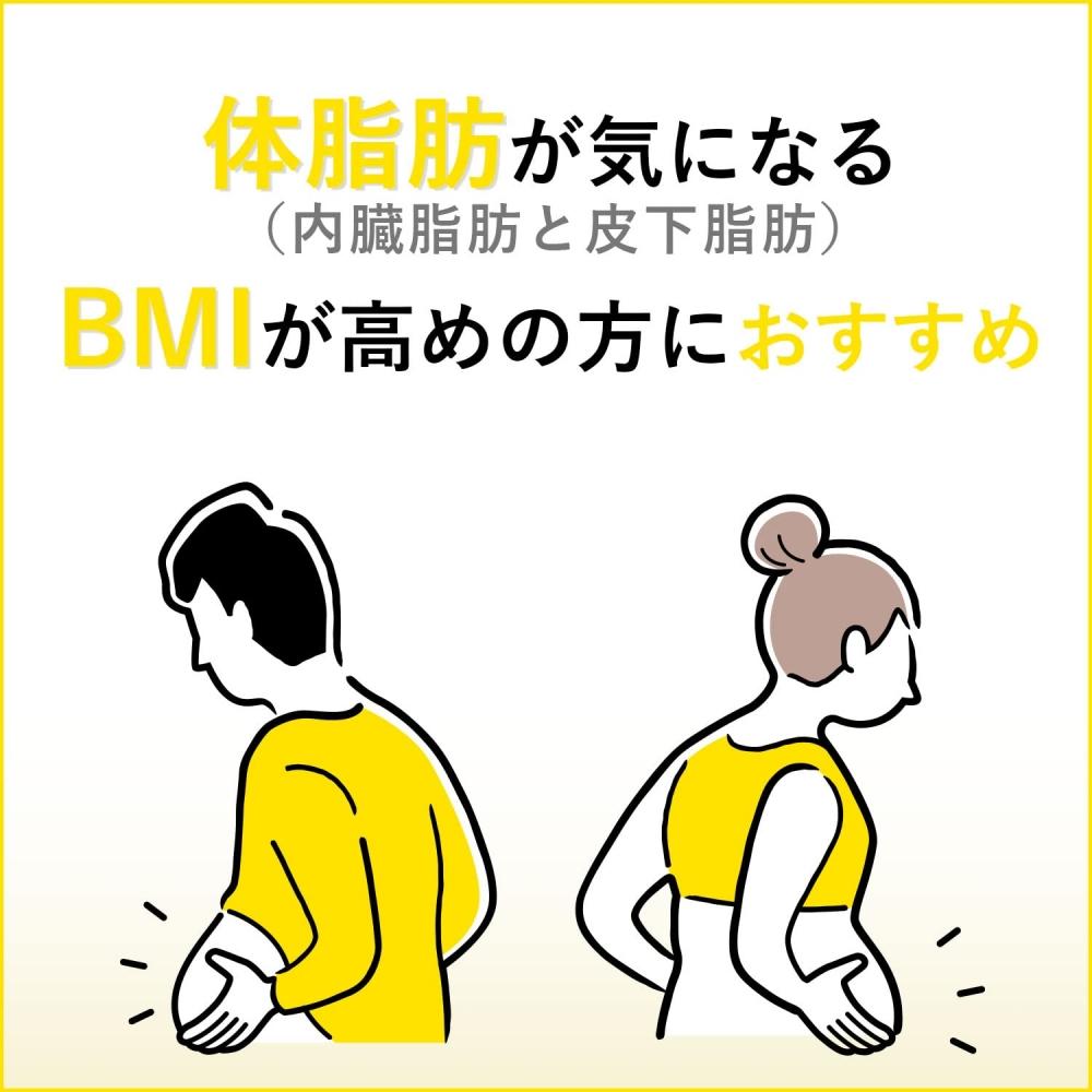 Порошок темного чая Itoen Oi Ocha Smooth [Пищевые продукты с функциональными свойствами] Тип пакета с застежкой-молнией 80 г