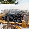 Сетка для барбекю, для жарки на огне, из нержавеющей стали, для кемпинга, решетка для гриля, подставка для дров