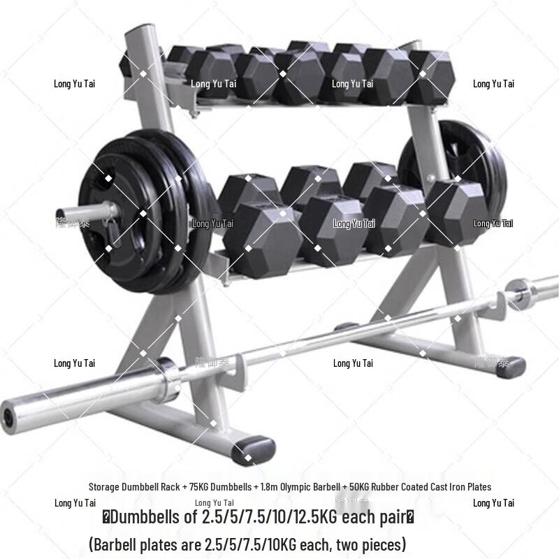 Double-Layer Dumbbell and Barbell Plate Storage Rack