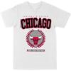 Мужская футболка NBA Chicago Bulls Белая Премиум Gildan Blanks