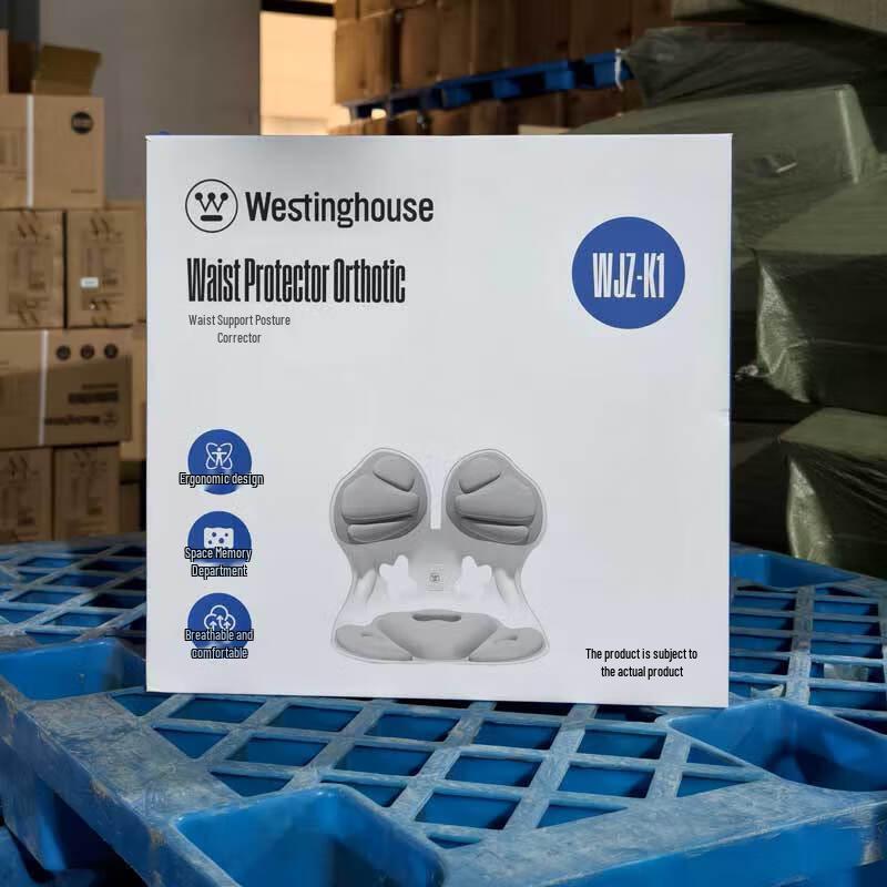 Westinghouse Lumbar Posture Corrector CN plug (adapter included)