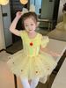 Belle Girl Princess Ballet Tutu Dress for Toddler Little Girls Ballerina Dance Costume Outfit Dancewear with Tulle Skirt Yellow