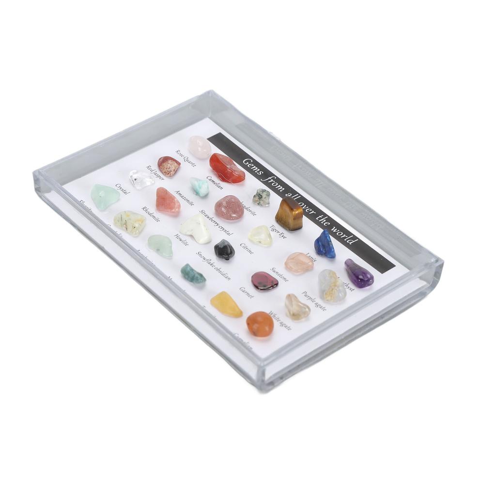 Mineral Rock Collection Kit Fun Attractive Rock Science Educational Kit with Clear Display Case for
