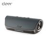 Cleer STAGE Портативная Bluetooth-колонка Штепсель CN (адаптер в комплекте)