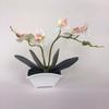 Green Phalaenopsis Faux Plant Bonsai Ornaments For Home Office Special Occasion