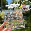Artlunar 36 Grids Acrylic Display Box - Clear Shadow Box for Seashell, Rock, and Thimble Collection, Mini Trinket Shelf Organizer for Collectors
