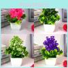 Potted Chrysanthemum Plant Decor For Tabletop Display And Gift Giving