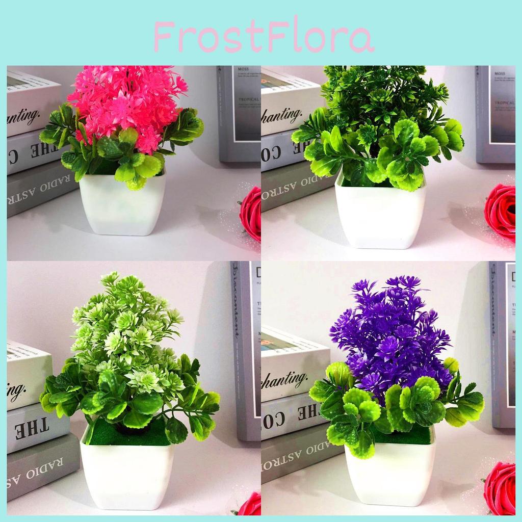 Potted Chrysanthemum Plant Decor For Tabletop Display And Gift Giving