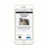 Apple iPhone 6 16 ГБ ПЗУ Золотой/Черный/Серебристый - 4G LTE Смартфон Разблокированный Мобильный Телефон - Восстановленный