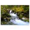 Canvas Print Waterfall Mountain Forest