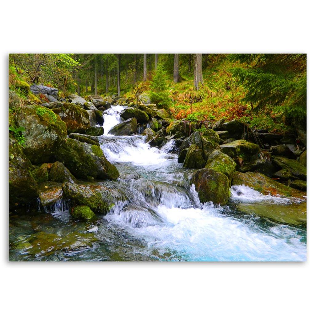 Canvas Print Waterfall Mountain Forest