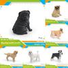 Realistic Dog Model Pvc Collectors Pet Figurine For Home Decor And Gift Ideas