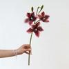 55cm Length Artificial Magnolia Flower Silk Material Simulated Orchid  Home Table Decor