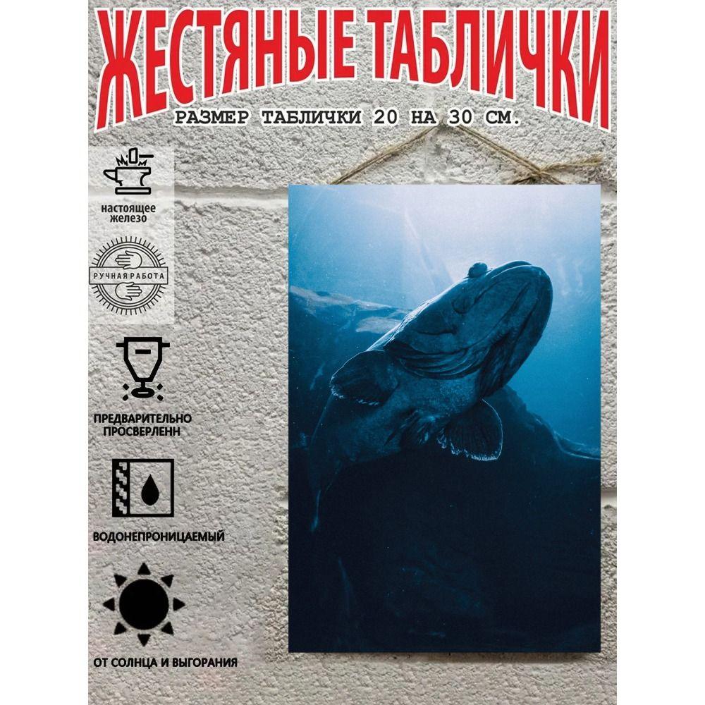 Металлические Настенные Знаки, Коллекция Морских Существ, Декор Комнаты, 20x30 см