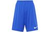 Шорты для тренировок по футболу с технологией Dri-FIT Quick Dry BV6855-463