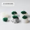 3D Succulent Plants Candle Mold Cactus Silicone Mold Candle Holder Mold Gypsum Plaster Silicone Mould Candle Mould