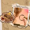 TOP TOY Серия Мишек Гюн [Медвежья Сумка] Серия Плюшевый Подвеска [1 шт.] Рюкзак с Плюшевой Игрушкой Гатча Сюрприз Фигурка Пластиковая Модель Премиальная Игрушка Мягкий Винил