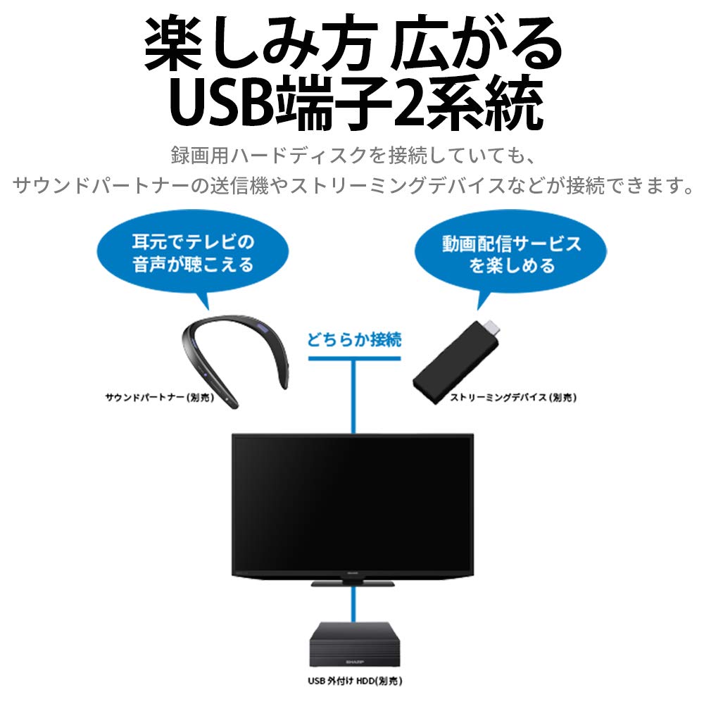 Sharp 24V LCD TV AQUOS High Definition External HDD Recording Supports 2021 Model Black 2T-C24DE-B Back-Program